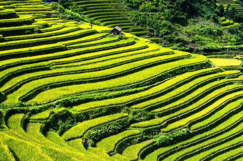 Sapa, Vietnam
